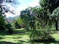 Os Jardins